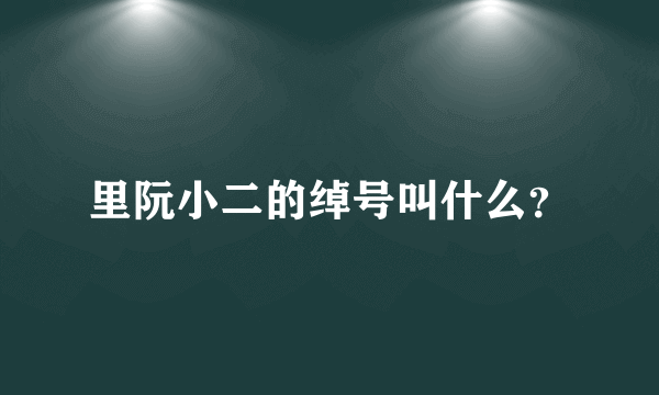 里阮小二的绰号叫什么？