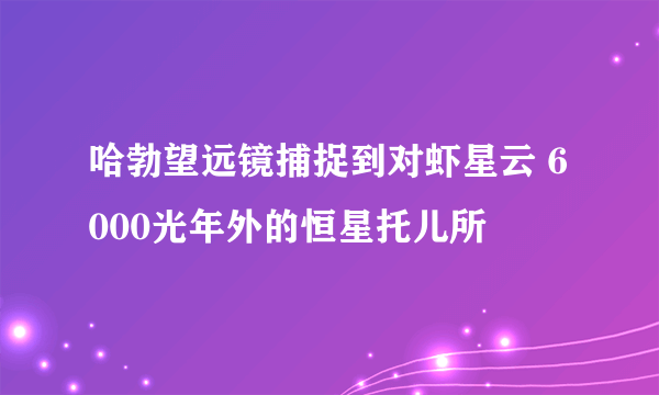 哈勃望远镜捕捉到对虾星云 6000光年外的恒星托儿所