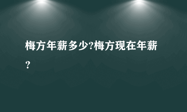 梅方年薪多少?梅方现在年薪？