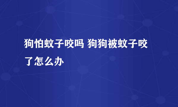 狗怕蚊子咬吗 狗狗被蚊子咬了怎么办