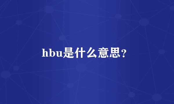 hbu是什么意思？