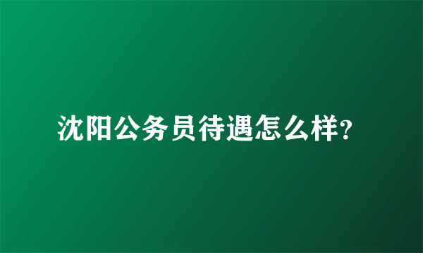 沈阳公务员待遇怎么样？