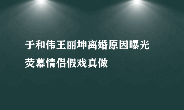 于和伟王丽坤离婚原因曝光  荧幕情侣假戏真做