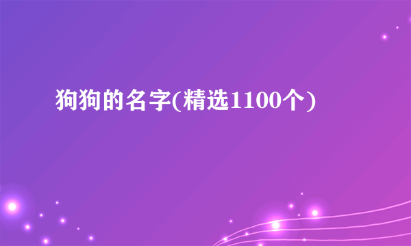 狗狗的名字(精选1100个)