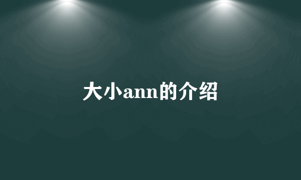 大小ann的介绍