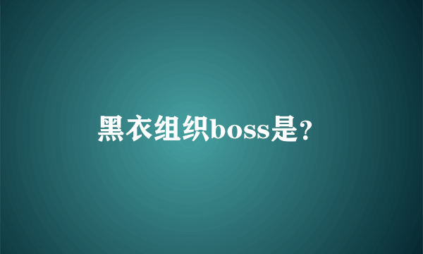 黑衣组织boss是？