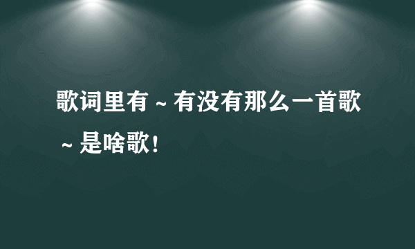 歌词里有～有没有那么一首歌～是啥歌！