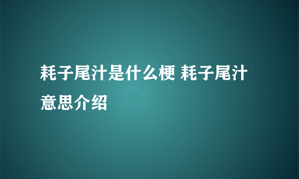 耗子尾汁是什么梗 耗子尾汁意思介绍