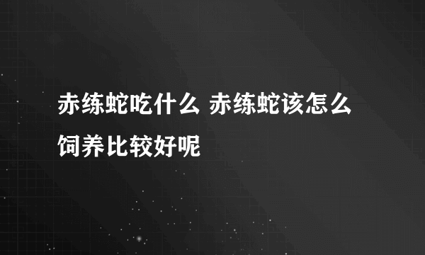 赤练蛇吃什么 赤练蛇该怎么饲养比较好呢