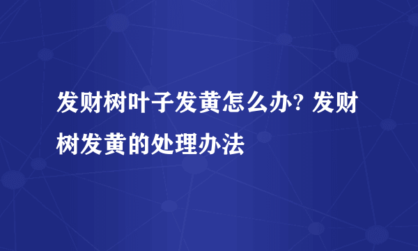 发财树叶子发黄怎么办? 发财树发黄的处理办法