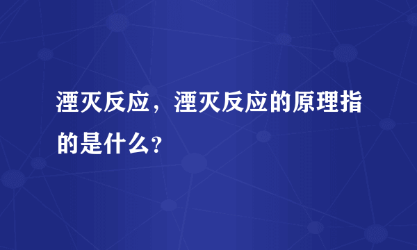 湮灭反应，湮灭反应的原理指的是什么？