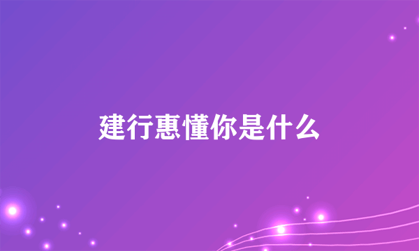 建行惠懂你是什么