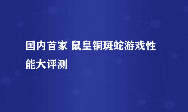 国内首家 鼠皇铜斑蛇游戏性能大评测