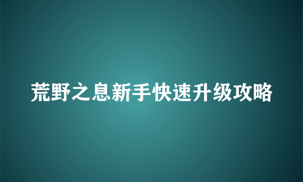 荒野之息新手快速升级攻略