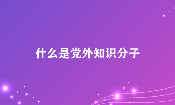 什么是党外知识分子