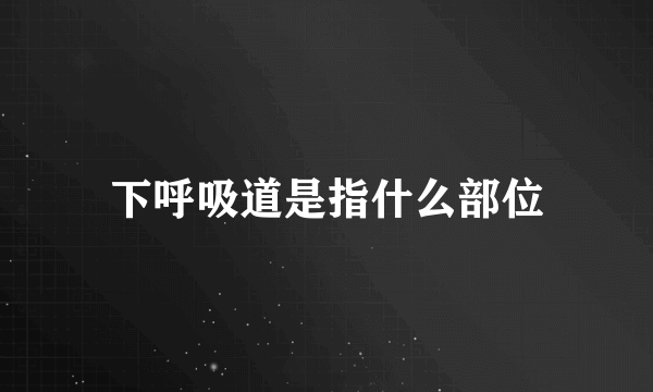 下呼吸道是指什么部位