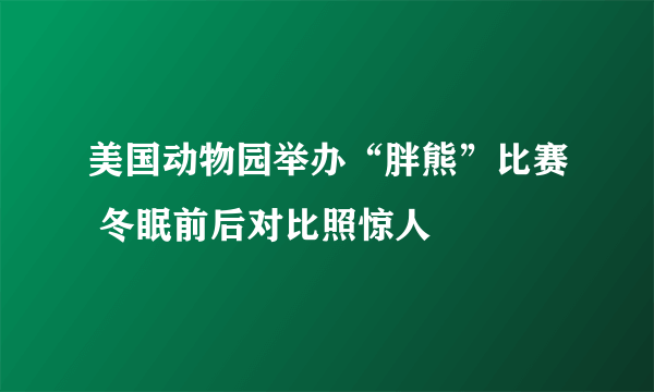 美国动物园举办“胖熊”比赛 冬眠前后对比照惊人