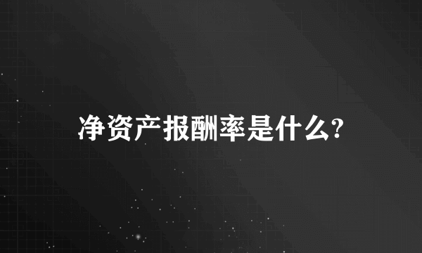 净资产报酬率是什么?