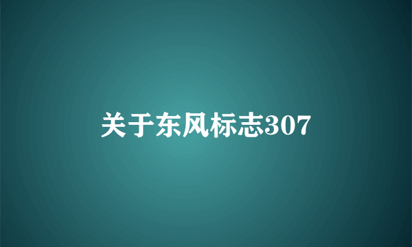 关于东风标志307