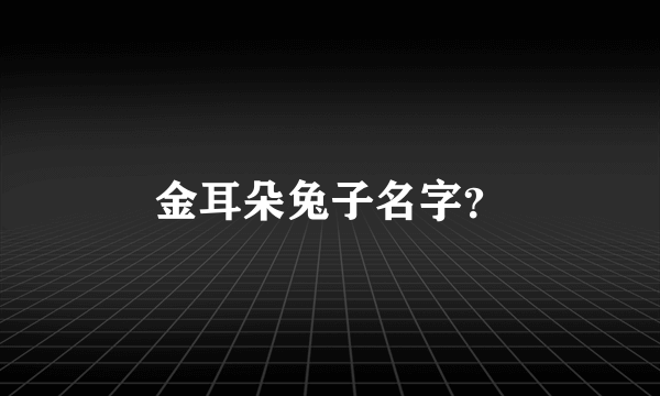 金耳朵兔子名字？