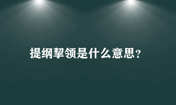 提纲挈领是什么意思？