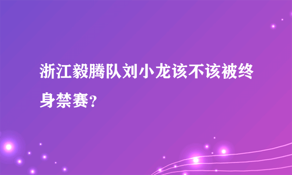 浙江毅腾队刘小龙该不该被终身禁赛？