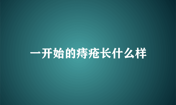 一开始的痔疮长什么样