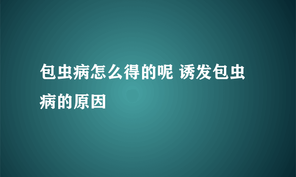 包虫病怎么得的呢 诱发包虫病的原因