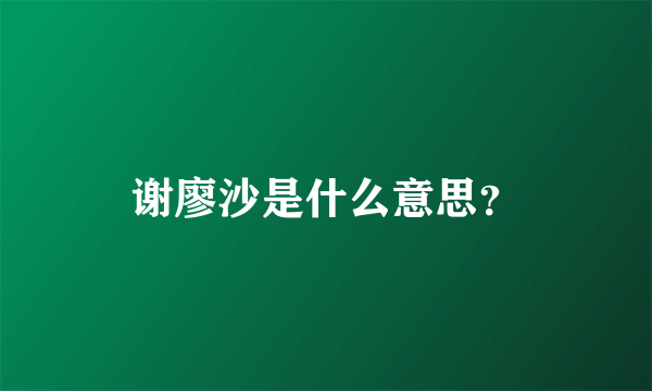 谢廖沙是什么意思？