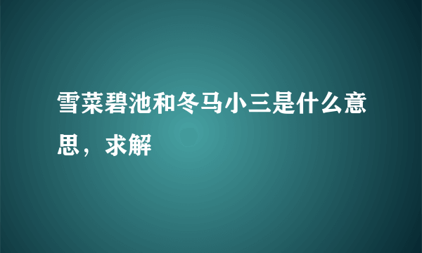 雪菜碧池和冬马小三是什么意思，求解