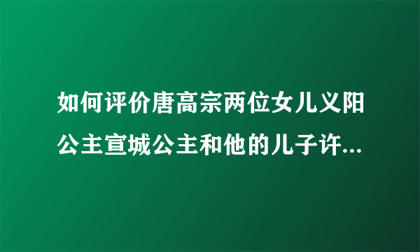 如何评价唐高宗两位女儿义阳公主宣城公主和他的儿子许王李素节？