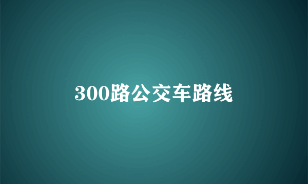 300路公交车路线