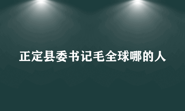 正定县委书记毛全球哪的人