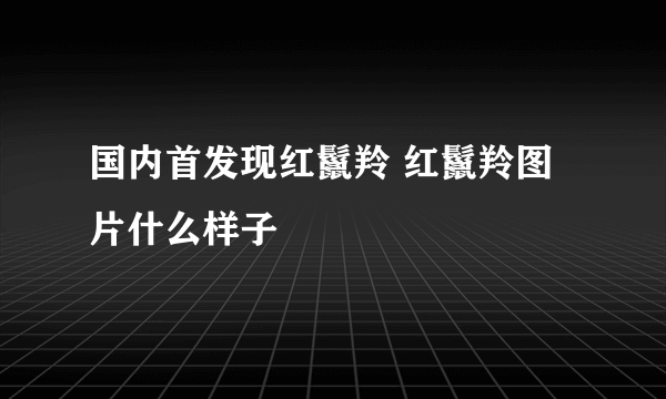 国内首发现红鬣羚 红鬣羚图片什么样子