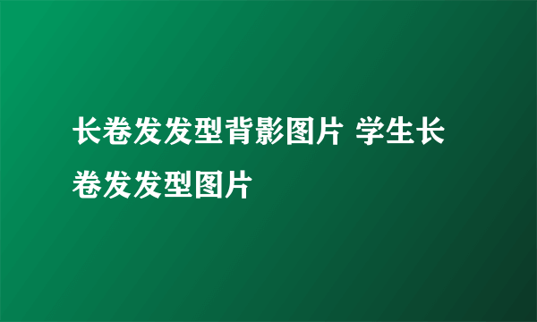 长卷发发型背影图片 学生长卷发发型图片