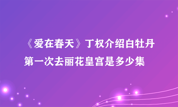 《爱在春天》丁权介绍白牡丹第一次去丽花皇宫是多少集