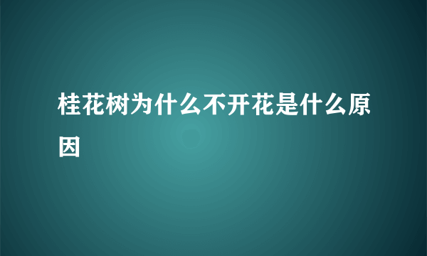 桂花树为什么不开花是什么原因