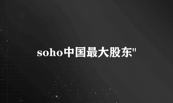 soho中国最大股东