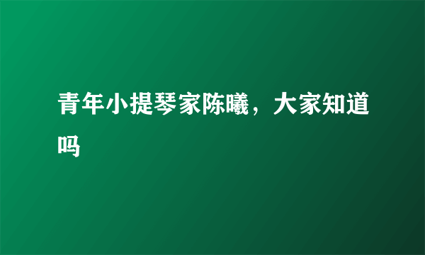 青年小提琴家陈曦，大家知道吗