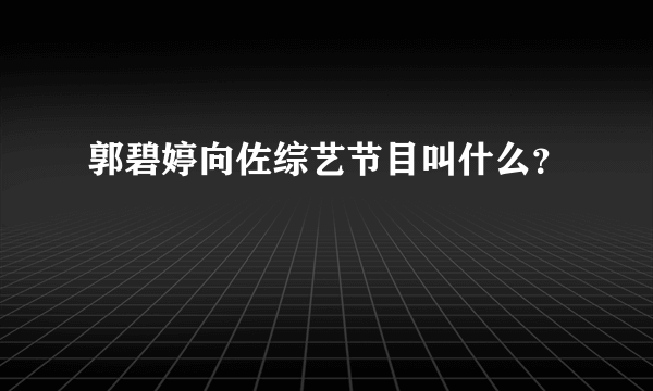 郭碧婷向佐综艺节目叫什么？