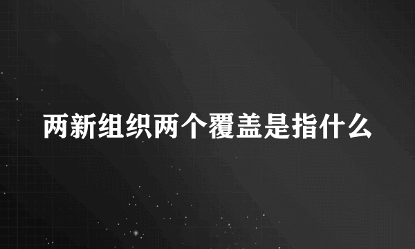 两新组织两个覆盖是指什么