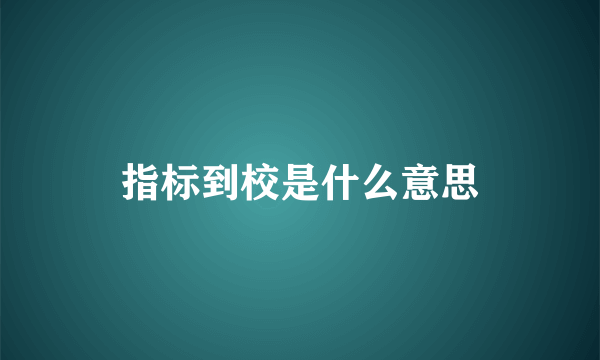 指标到校是什么意思