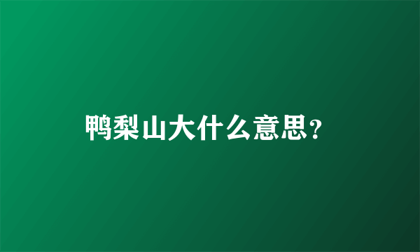 鸭梨山大什么意思？