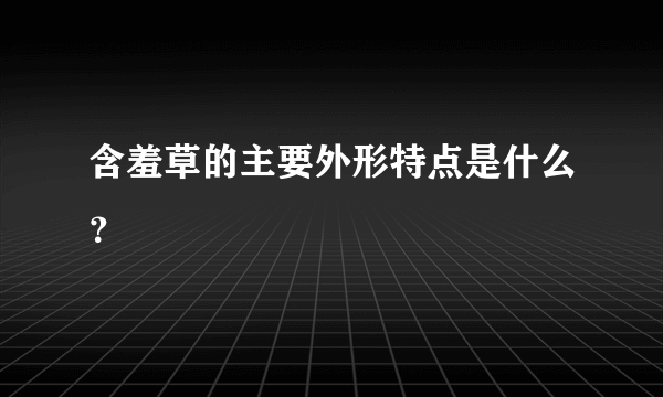 含羞草的主要外形特点是什么？