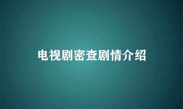 电视剧密查剧情介绍