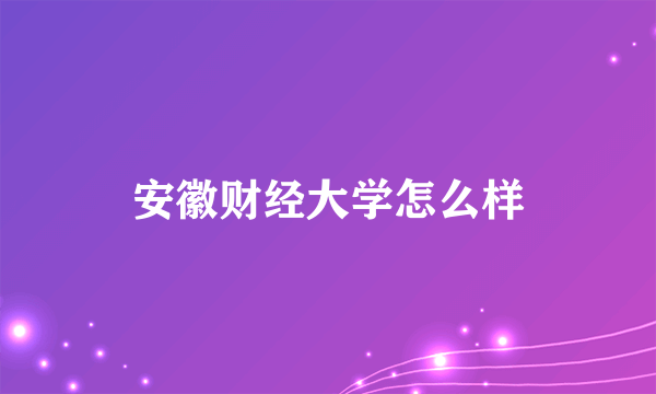 安徽财经大学怎么样