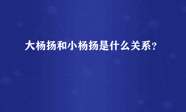 大杨扬和小杨扬是什么关系？