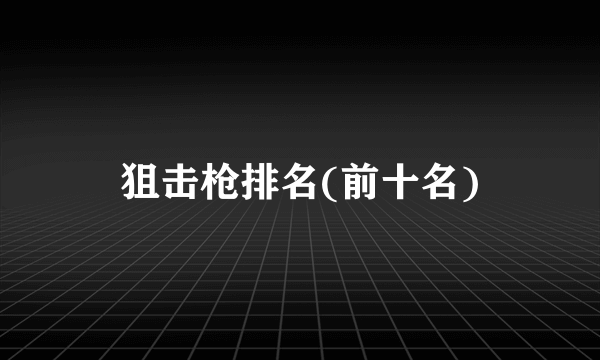 狙击枪排名(前十名)