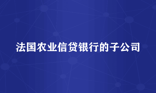 法国农业信贷银行的子公司