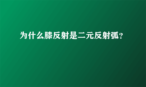 为什么膝反射是二元反射弧？